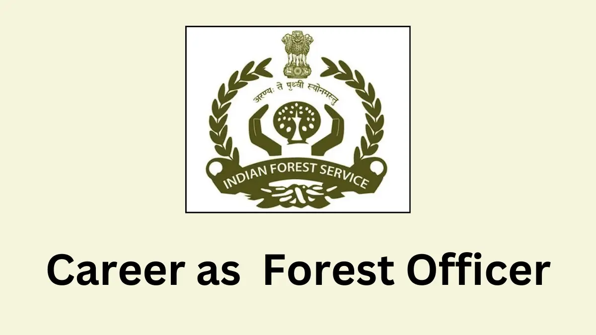 You Can Find a Career in Forestry